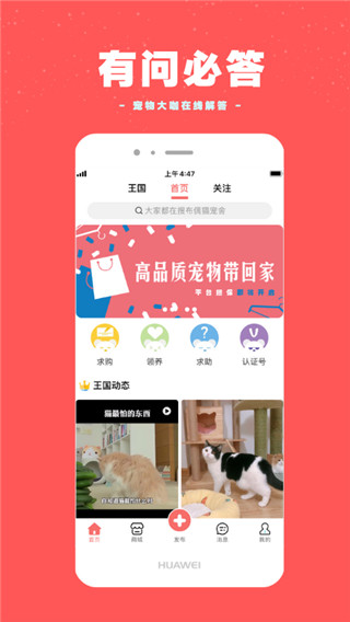 宠物王国app