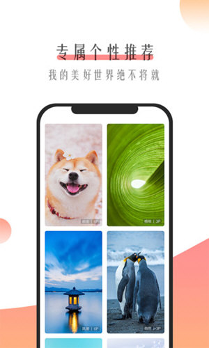 米柚壁纸app