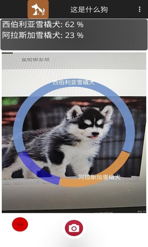 这是什么狗拍照识别（Identify Dog Breeds）app