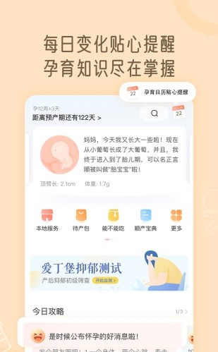 月子说app