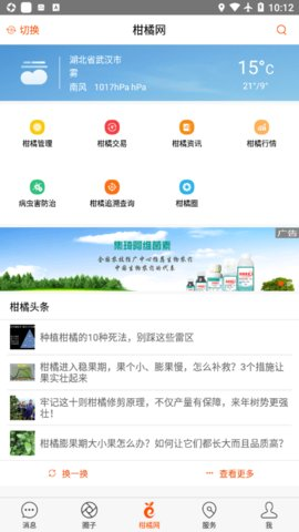 柑橘网app