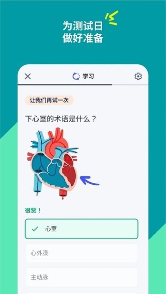 quizlet安卓版下载官方版