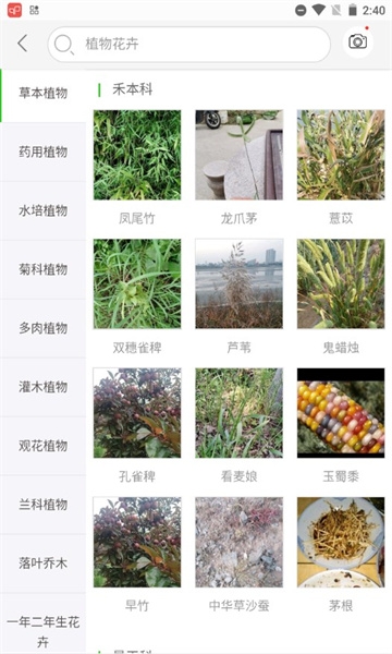 识万物扫一扫app下载