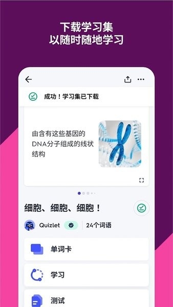 quizlet安卓版下载官方版