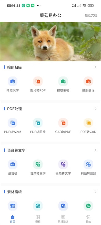 蘑菇易办公app下载