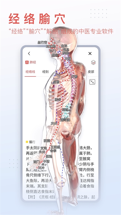 3dbody解剖app免费版下载官方