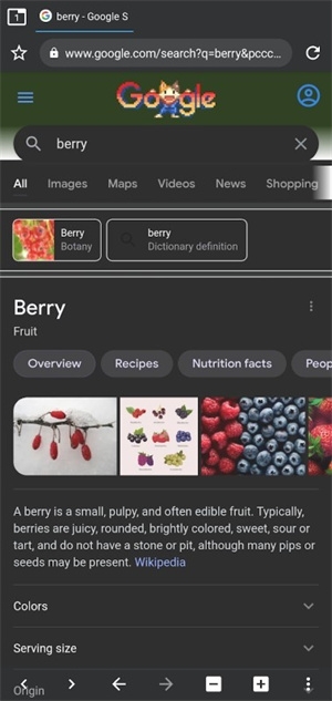 berry浏览器app下载