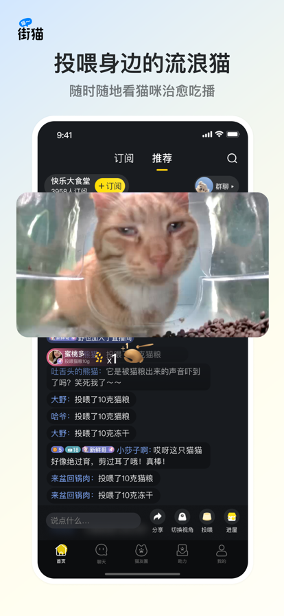 街猫下载